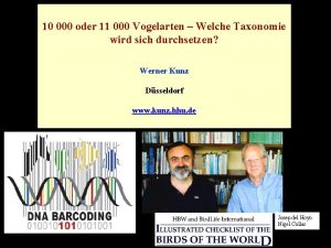 10 000 oder 11 000 Vogelarten Welche Taxonomie