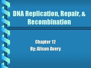 DNA Replication Repair Recombination Chapter 12 By Alison