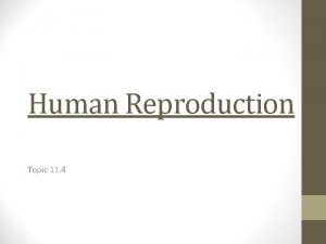 Human Reproduction Topic 11 4 I Human Reproduction