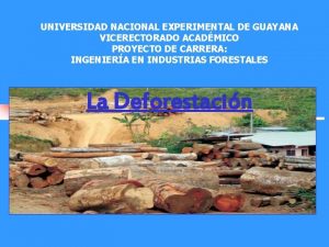 UNIVERSIDAD NACIONAL EXPERIMENTAL DE GUAYANA VICERECTORADO ACADMICO PROYECTO