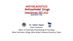 ANTHELMINTICS Anticestodal Drugs Chemotherapy VPT411 Lecture22 Dr Kumari