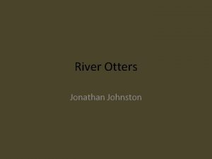 River Otters Jonathan Johnston Introduction My animal is