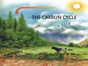 THE CARBON CYCLE What is the Carbon Cycle