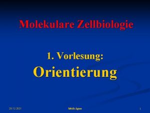 Molekulare Zellbiologie 1 Vorlesung Orientierung 28 12 2021