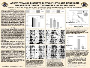 ACUTE ETHANOL DISRUPTS IN VIVO PHOTIC AND NONPHOTIC