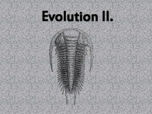Evolution II Dating of fossils Relative Absolute Relative