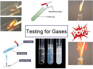 Testing for Gases Ammonia Damp red litmus paper