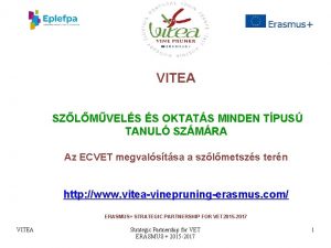 VITEA SZLMVELS S OKTATS MINDEN TPUS TANUL SZMRA