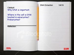 DNA Extraction 1416 Catalyst Why DNA is important