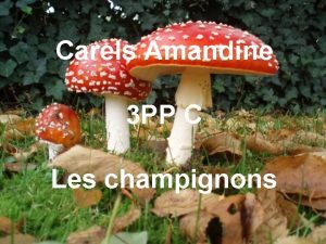 Carels Amandine 3 PP C Les champignons Sommaire