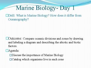 Marine Biology Day 1 Drill What is Marine