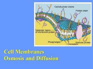 Cell Membranes Osmosis and Diffusion Functions of Membranes