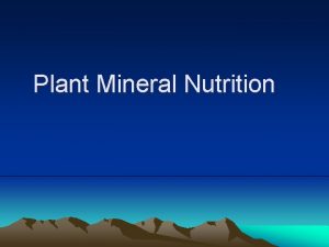 Plant Mineral Nutrition Mineral Nutrition The study of