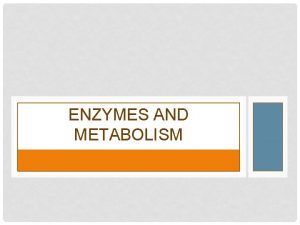 ENZYMES AND METABOLISM Metabolism sum of all chemical