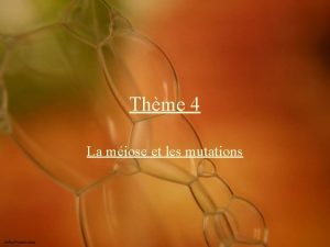 Thme 4 La miose et les mutations Rappels