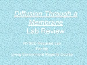 Diffusion Through a Membrane Lab Review NYSED Required