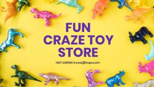 FUN CRAZE TOY STORE 827 238108 investhope com