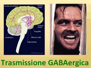 Trasmissione GABAergica Trasmissione GABAergica GABA Acido ammino butirrico