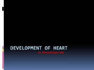 DEVELOPMENT OF HEART Dr Shreetal Rajan Nair Introduction