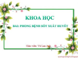 Gio vin V Lan Anh Khoa hc Bi