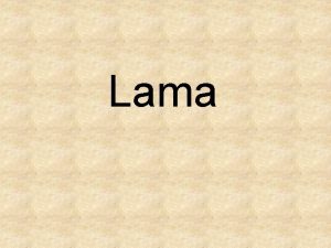 Lama ivot lamy Lama a jej nevhody Domestikace