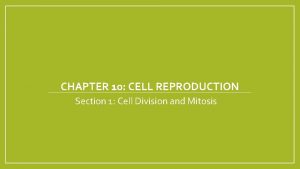 CHAPTER 10 CELL REPRODUCTION Section 1 Cell Division