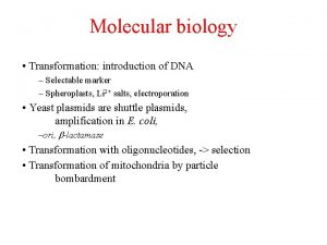 Molecular biology Transformation introduction of DNA Selectable marker