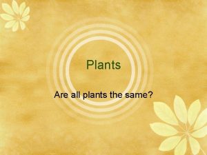 Plants Are all plants the same All plants