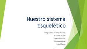 Nuestro sistema esqueltico Integrantes Manuela lvarez Mariana Gmez