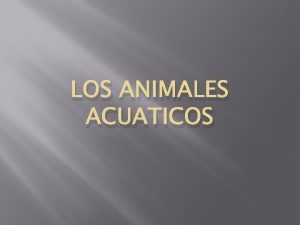 LOS ANIMALES ACUATICOS Los delfines Los delfines Los