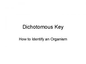 Dichotomous Key How to Identify an Organism Purpose