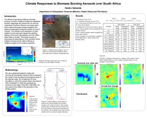 Climate Responses to Biomass Burning Aerosols over South