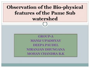 Observation of the Biophysical features of the Pame