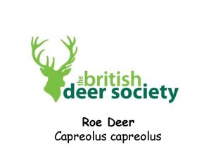 Roe Deer Capreolus capreolus There are six species