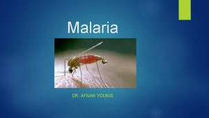 Malaria DR AFNAN YOUNIS Objectives Epidemiology Clinical Mode