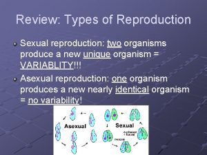 Review Types of Reproduction Sexual reproduction two organisms