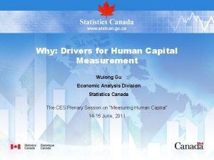 Why Drivers for Human Capital Measurement Wulong Gu