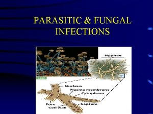 PARASITIC FUNGAL INFECTIONS WHY IS THIS IMPORTANT Parasitic