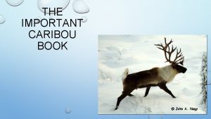 THE IMPORTANT CARIBOU BOOK The important thing about