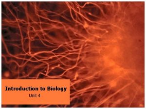 Introduction to Biology Unit 4 BIOLOGY BIO Life