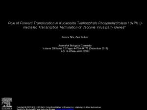 Role of Forward Translocation in Nucleoside Triphosphate Phosphohydrolase