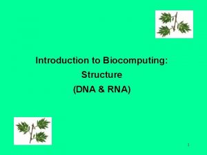 Introduction to Biocomputing Structure DNA RNA 1 genome