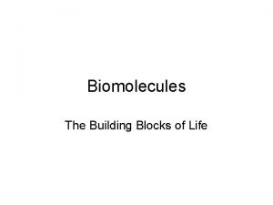 Biomolecules The Building Blocks of Life Biomolecules are