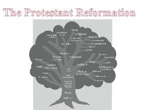 The Protestant Reformation During the Middle Ages the