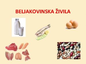 BELJAKOVINSKA IVILA Uvrstitev v skupino ivil MLEKO IN