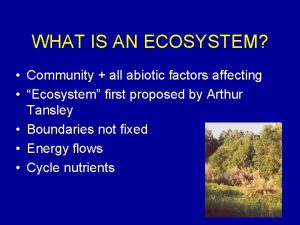 WHAT IS AN ECOSYSTEM Community all abiotic factors