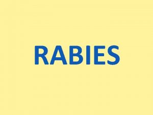 RABIES Rabies also known as hydrophobia is a