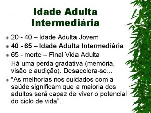 Idade Adulta Intermediria 20 40 Idade Adulta Jovem