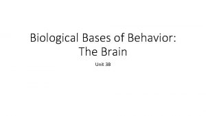 Biological Bases of Behavior The Brain Unit 3