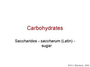 Carbohydrates Saccharides saccharum Latin sugar E V Blackburn